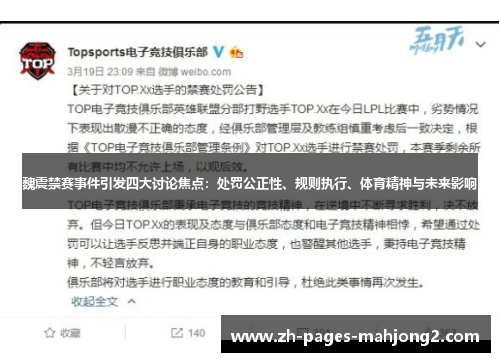 魏震禁赛事件引发四大讨论焦点：处罚公正性、规则执行、体育精神与未来影响